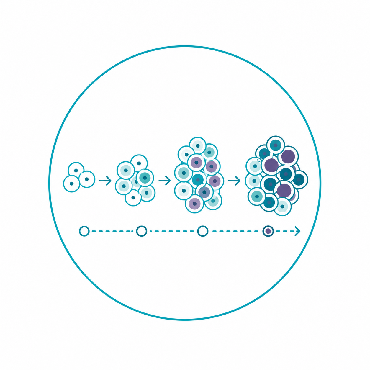 Tumor evolution